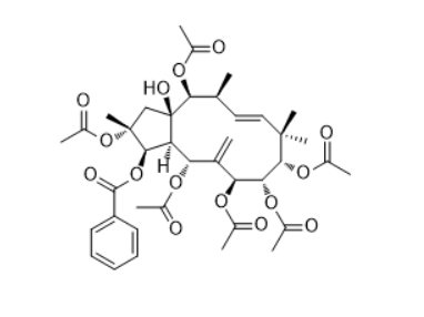 CAS ：210108-86-4   2,5,7,8,9,14-Hexaacetoxy-3-benzoyloxy-15-hydroxyjatropha-6(17),11E-diene