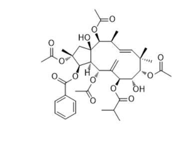   CAS ：210108-88-6  Jatrophane 4   植物提取物