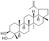 CAS：163060-07-9  Lup-20(29)-ene-3β,23-diol  植物提取物