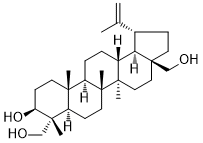 CAS ：84414-40-4  23-Hydroxybetulin  植物提取物