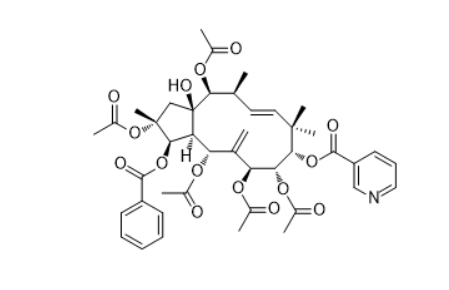 CAS ：670257-89-3  Pepluanin A  植物提取物