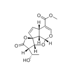 CAS ：51838-83-6   Allamandicin  天然产物库