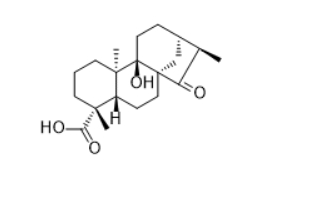  CAS ：77658-45-8  ent-9-Hydroxy-15-oxokauran-19-oic acid 