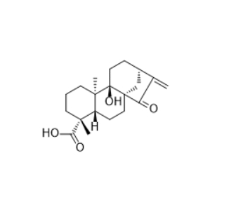  CAS ：77658-39-0  ent-9-Hydroxy-15-oxokaur-16-en-19-oic acid   三轴凤尾蕨