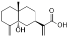 CAS ：132185-83-2  5α-Hydroxycostic acid