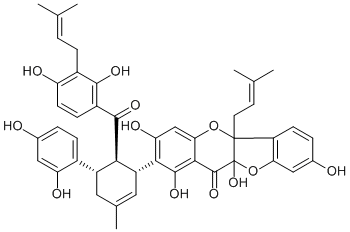 CAS：81381-69-3  Sanggenon E  桑根酮E