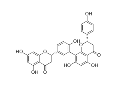 CAS ：48236-96-0  Tetrahydroamentoflavone  四氢穗花杉双黄酮