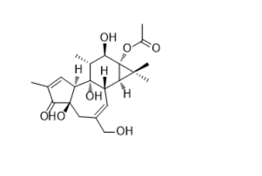 CAS ：32752-29-7   Phorbol 13-acetate   佛波醇 13-乙酸酯