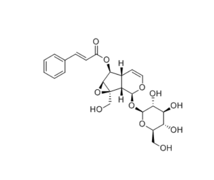 CAS ：136807-41-5   6-O-Cinnamoylcatalpol   C-11降环烯醚萜