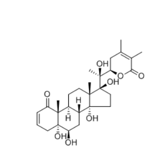  CAS ：63139-16-2   Withanolide S   醉茄内酯S
