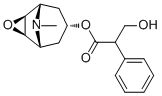 CAS ：51-34-3  Scopolamine  东莨菪碱