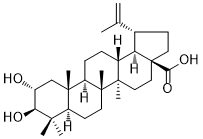 CAS ：19533-92-7  Alphitolic acid  麦珠子酸