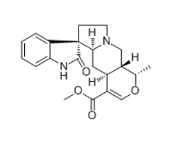 CAS ：4963-01-3    Isomitraphylline   金缕梅属