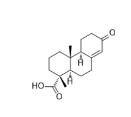 CAS ：63976-69-2    13-Oxopodocarp-8(14)-en-18-oic acid  