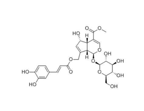 CAS ：83348-22-5     10-O-Caffeoyl-6-epiferetoside  