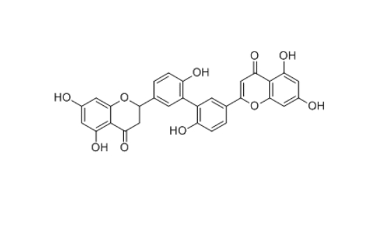 CAS ：151455-25-3   2'',3''-Dihydro-3',3'''-biapigenin  
