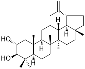 CAS ：61448-03-1  Lup-20(29)-ene-2α,3β-diol