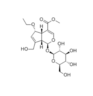 CAS ：1264496-61-8  6-Ethoxygeniposide  白花蛇舌草