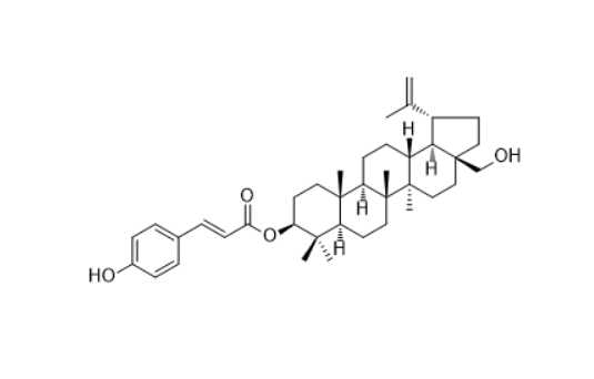  CAS ：144424-80-6  3-O-(E)-p-Coumaroylbetulin 