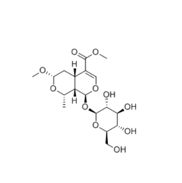 CAS ：119943-45-2    7α-O-甲基莫诺苷   7α-O-Methylmorroniside  