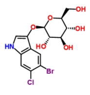 5-溴-6-氯-3-吲哚基-β-D-半乳糖皮蒽 