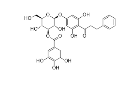 CAS ：1885097-49-3  2',4',6'-Trihydroxydihydrochalcone 4'-O-(3''-O-galloyl)glucoside  
