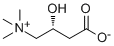 CAS ：541-15-1  L-Carnitine   左旋肉碱