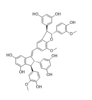 CAS ：337464-95-6   Gnetuhainin O   天然产物库