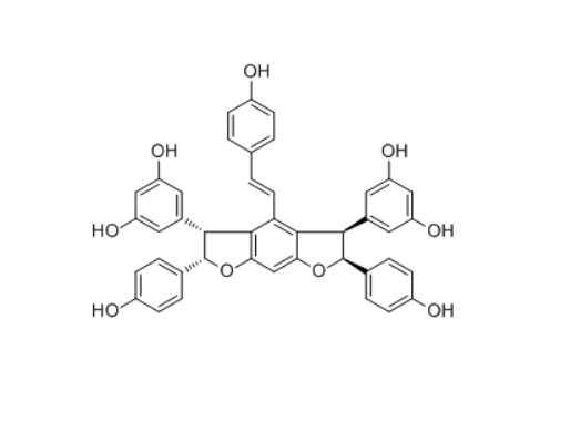 CAS ：1646330-59-7   Malaysianol D   植物提取物