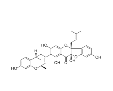CAS ：81381-67-1    桑根酮B  Sanggenon B  