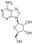 CAS ：58-61-7  Adenosine  腺苷