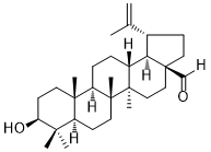 CAS ：13159-28-9  Betulinaldehyde  白桦脂醛