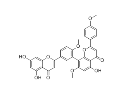 CAS ：481-45-8    榧黄素   Kayaflavone  