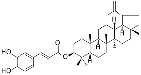 CAS ：103917-26-6   Lupeol caffeate  