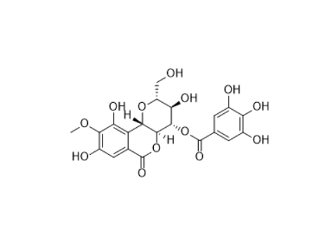 CAS ：82958-45-0  4-O-没食子酰岩白菜素   4-O-Galloylbergenin  公斤级中间体