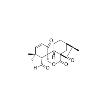  CAS ：191545-24-1   Epieriocalyxin A   公斤级