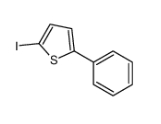 13781-37-8  2-碘-5-苯基噻吩  2-Iodo-5-phenylthiophene