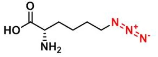   6-azido-L-norleucine  