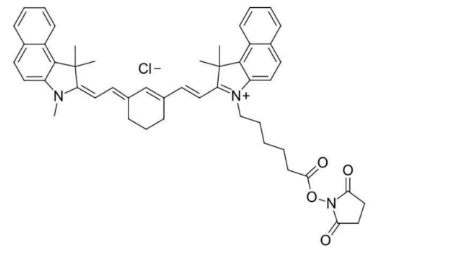 Cy7.5 NHS ester，CY7.5-活化脂