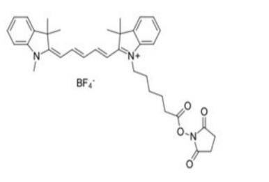 Cyanine5 NHS ester