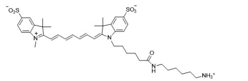 Sulfo-Cy7 NH2