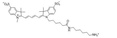 Sulfo-Cyanine5 amine