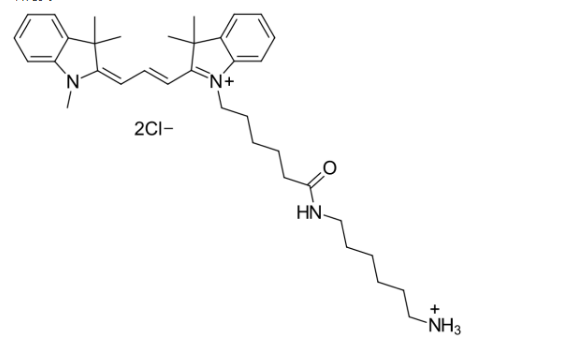 Cy3 amine，CY3-氨基