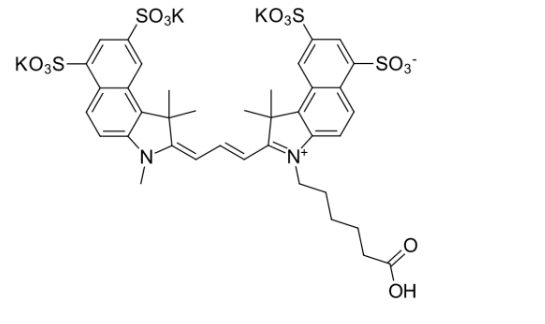 Sulfo-Cy3.5 Carboxylic acids