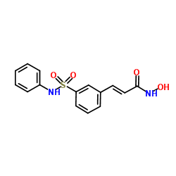 CAS:414864-00-9  Belinostat (PXD101)   苯林若斯特