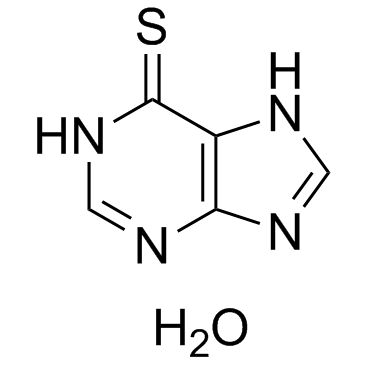 CAS:6112-76-1  6-Mercaptopurine (6-MP) Monohydrate   6-巯基嘌呤(一水合物)