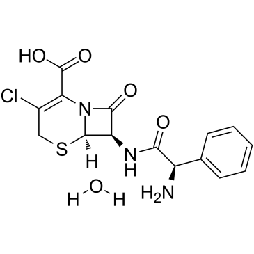 CAS:70356-03-5  Cefaclor  头孢克洛