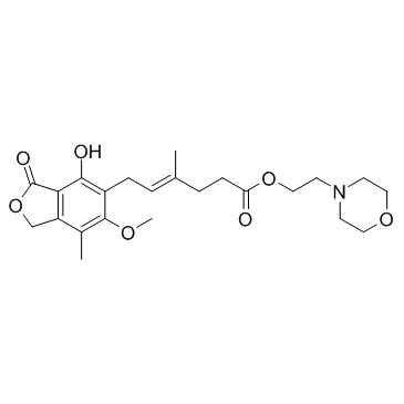 CAS:128794-94-5  Mycophenolate Mofetil  吗替麦考酚酯