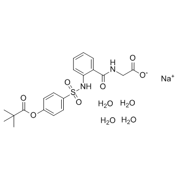 CAS:201677-61-4  Sivelestat sodium tetrahydrate   西维来司钠