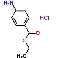 CAS:23239-88-5  Benzocaine hydrochloride    苯佐卡因盐酸盐